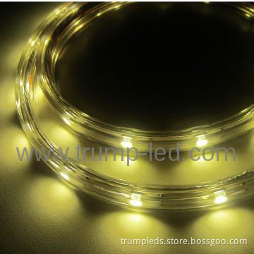 2013 Factory Price 110v 220v Waterproof High Voltage Strip Led SMD3528